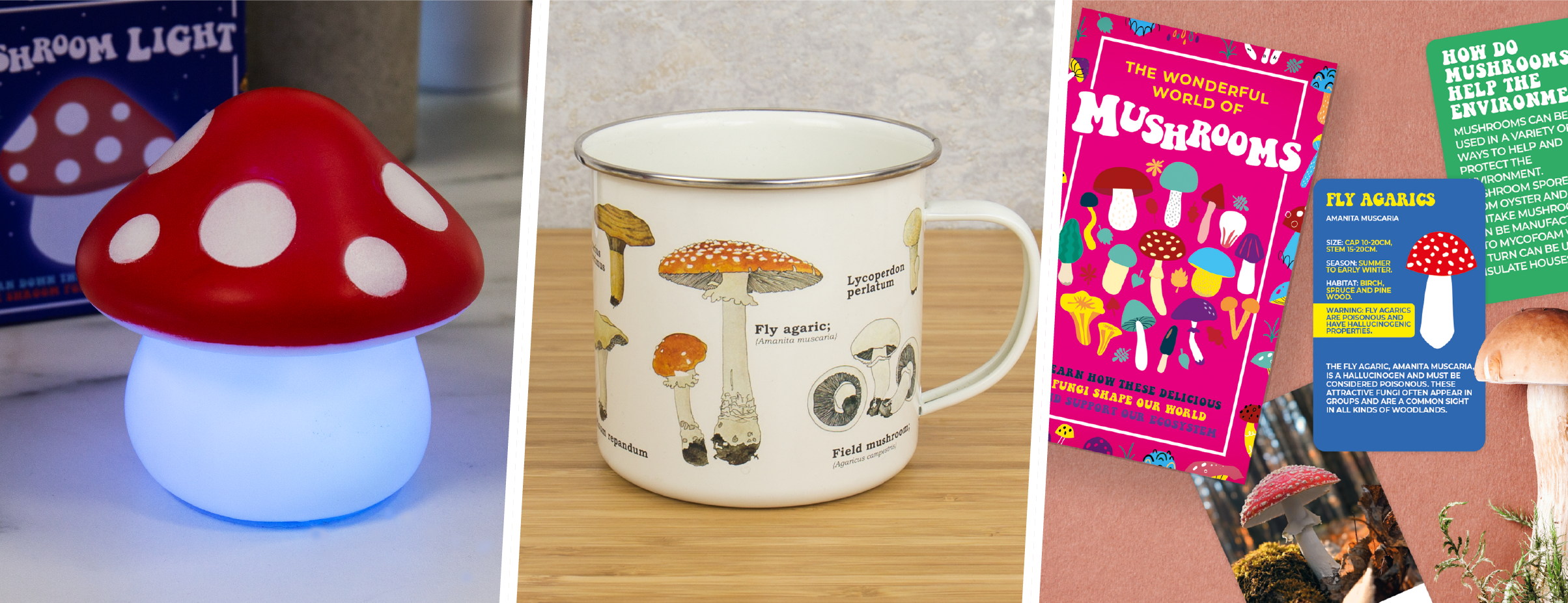 Mushroom - Banner - v1.png