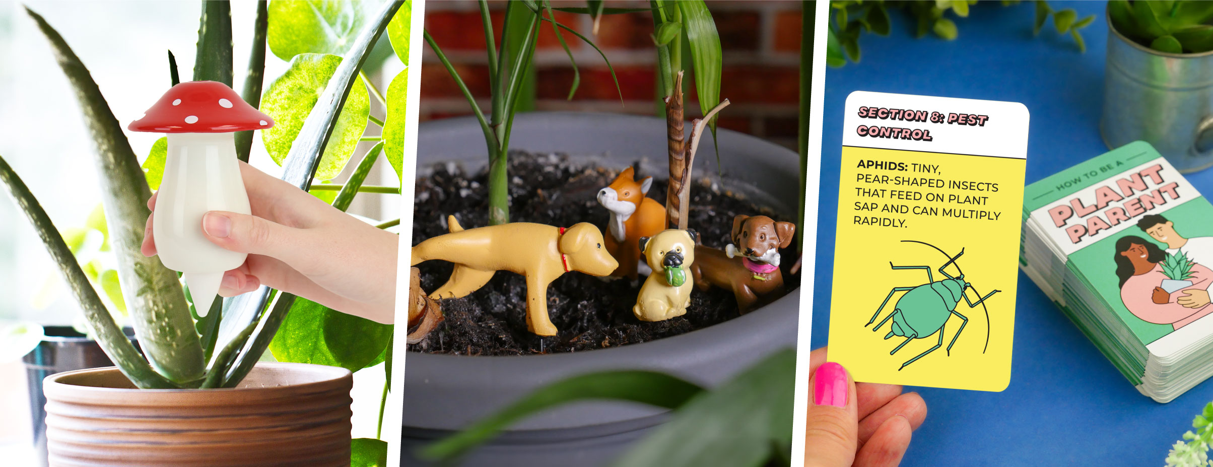 Best Gifts for Plant Lovers: Nurture Nature with Gift Republic!