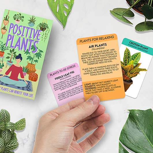 Positive-Plants-rollover1.jpg