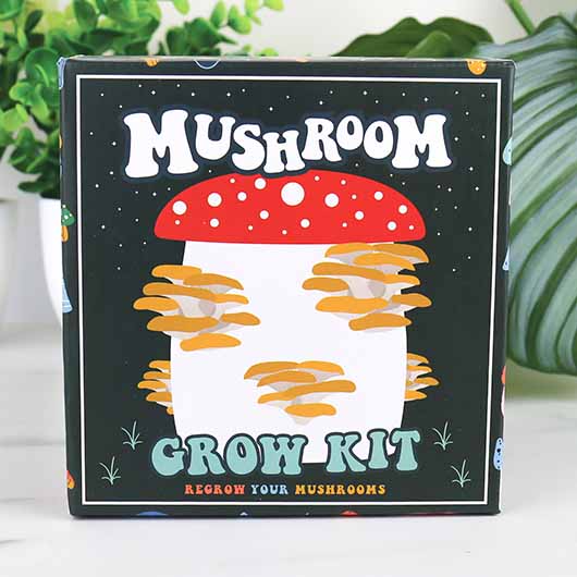 mushroom-grow-kit-packaging-v1-rollover2.jpg