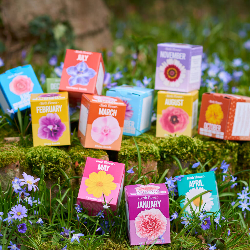 original_personalised-grow-your-own-birth-flower.jpg