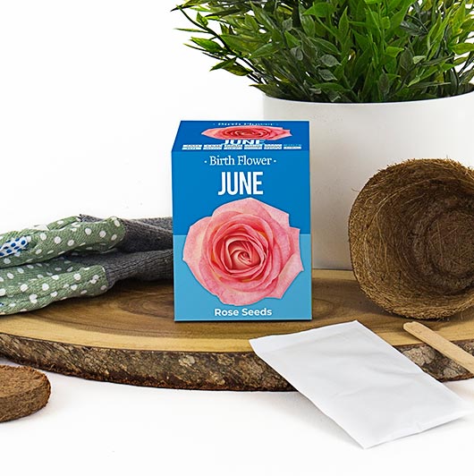 June Birth Flowers