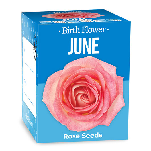 June Birth Flowers