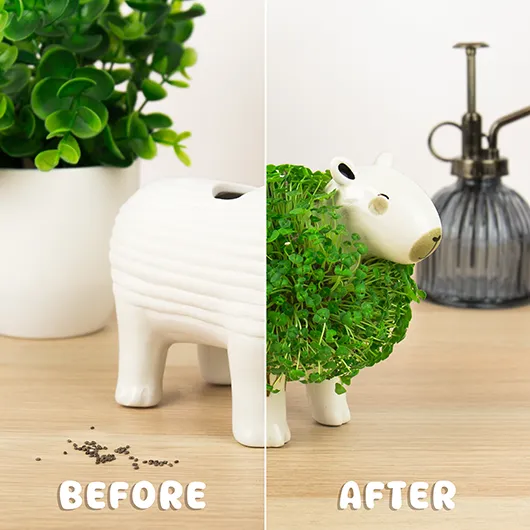 Capybara Chia Planter