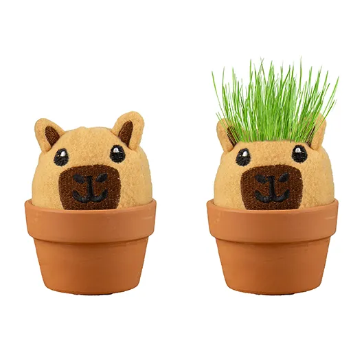 Capybara Grow Pal – All-in-One Grass-Growing Kit
