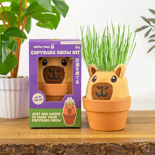 Capybara Grow Pal – All-in-One Grass-Growing Kit