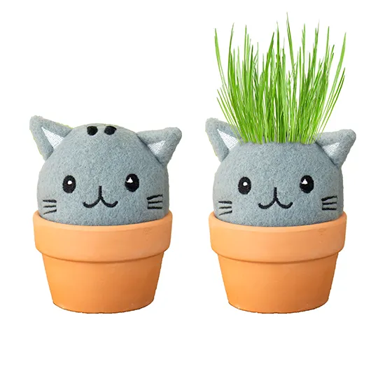 Cat Grow Pal