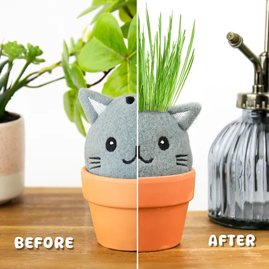 Cat Grow Pal