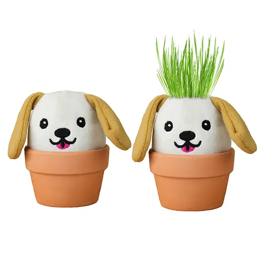 Dog Grow Kit – Grow Pals