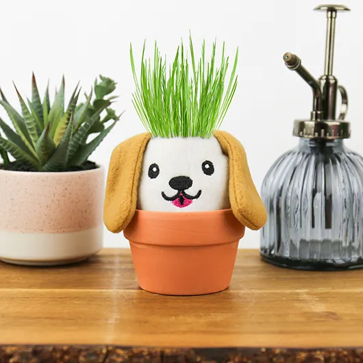 Dog Grow Kit – Grow Pals