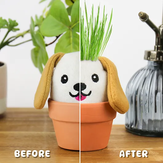 Dog Grow Kit – Grow Pals