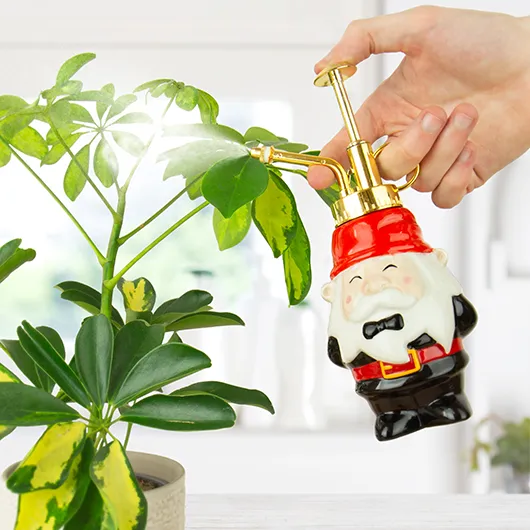 Gnome Plant Mister