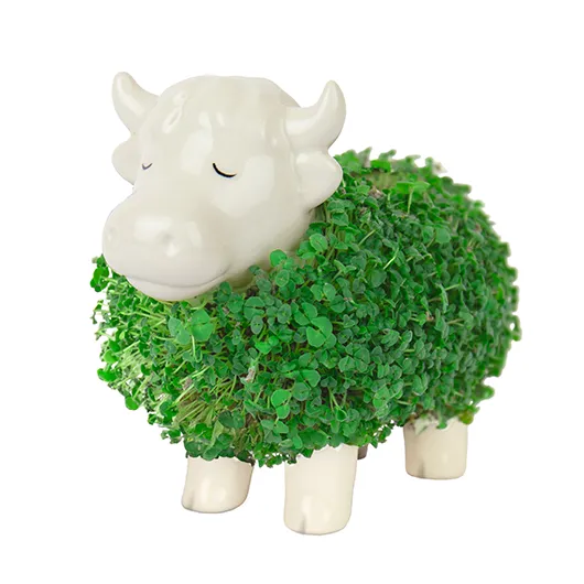 Highland Cow Chia Planter