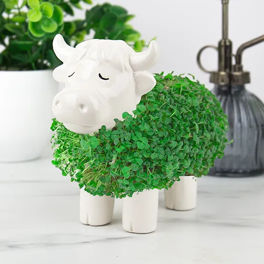 Highland Cow Chia Planter