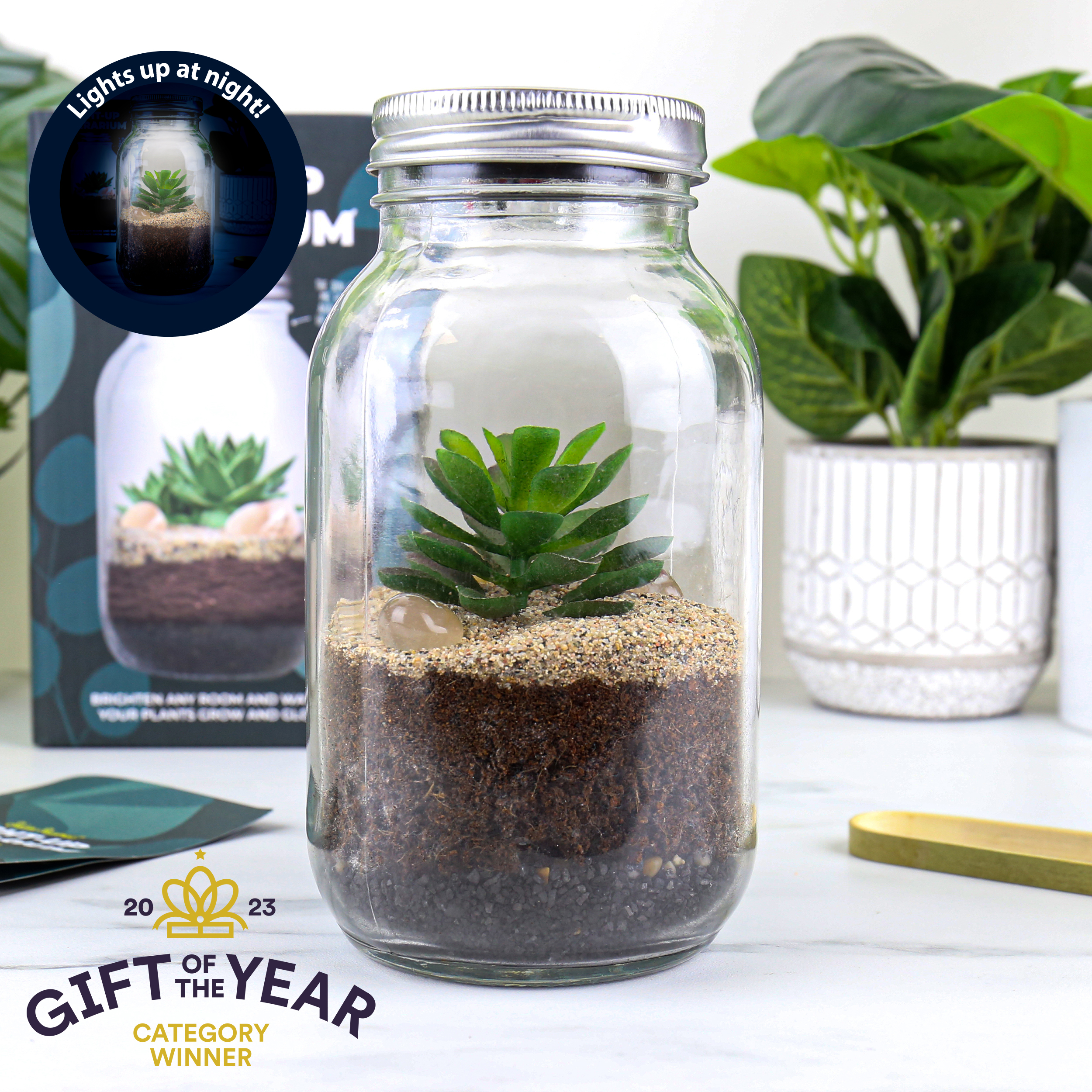 Solar Powered Light-up Terrarium