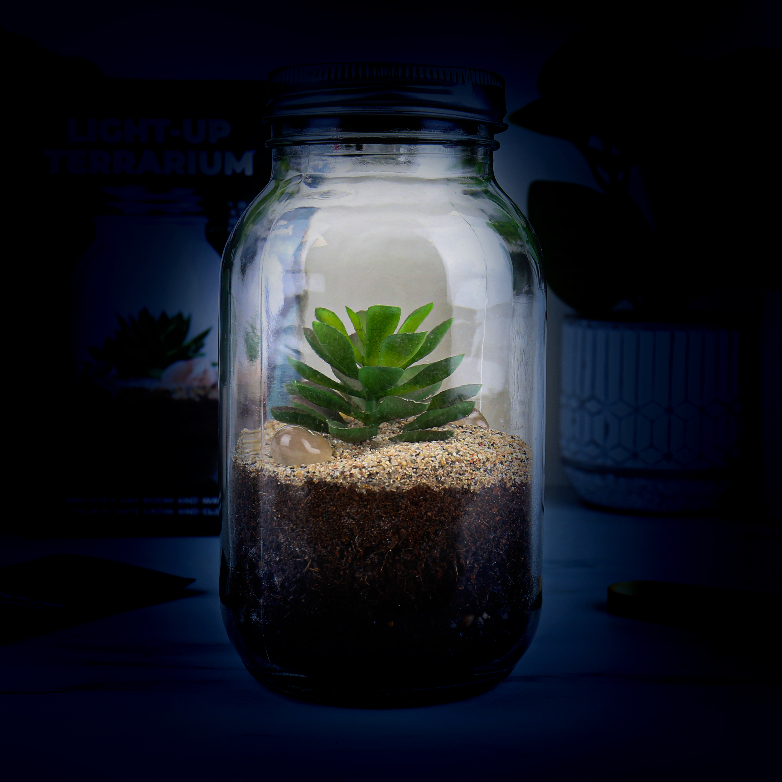 Solar Powered Light-up Terrarium
