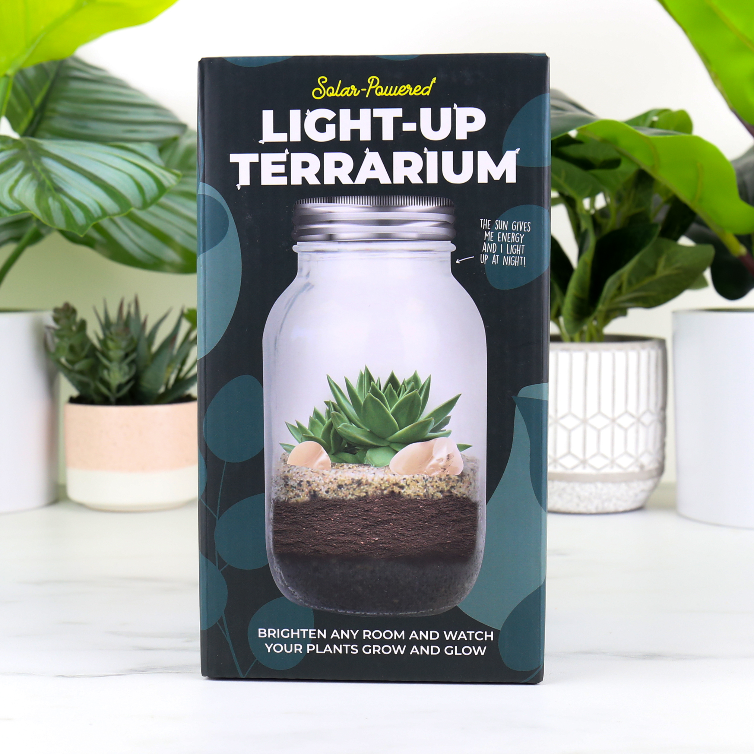 Solar Powered Light-up Terrarium
