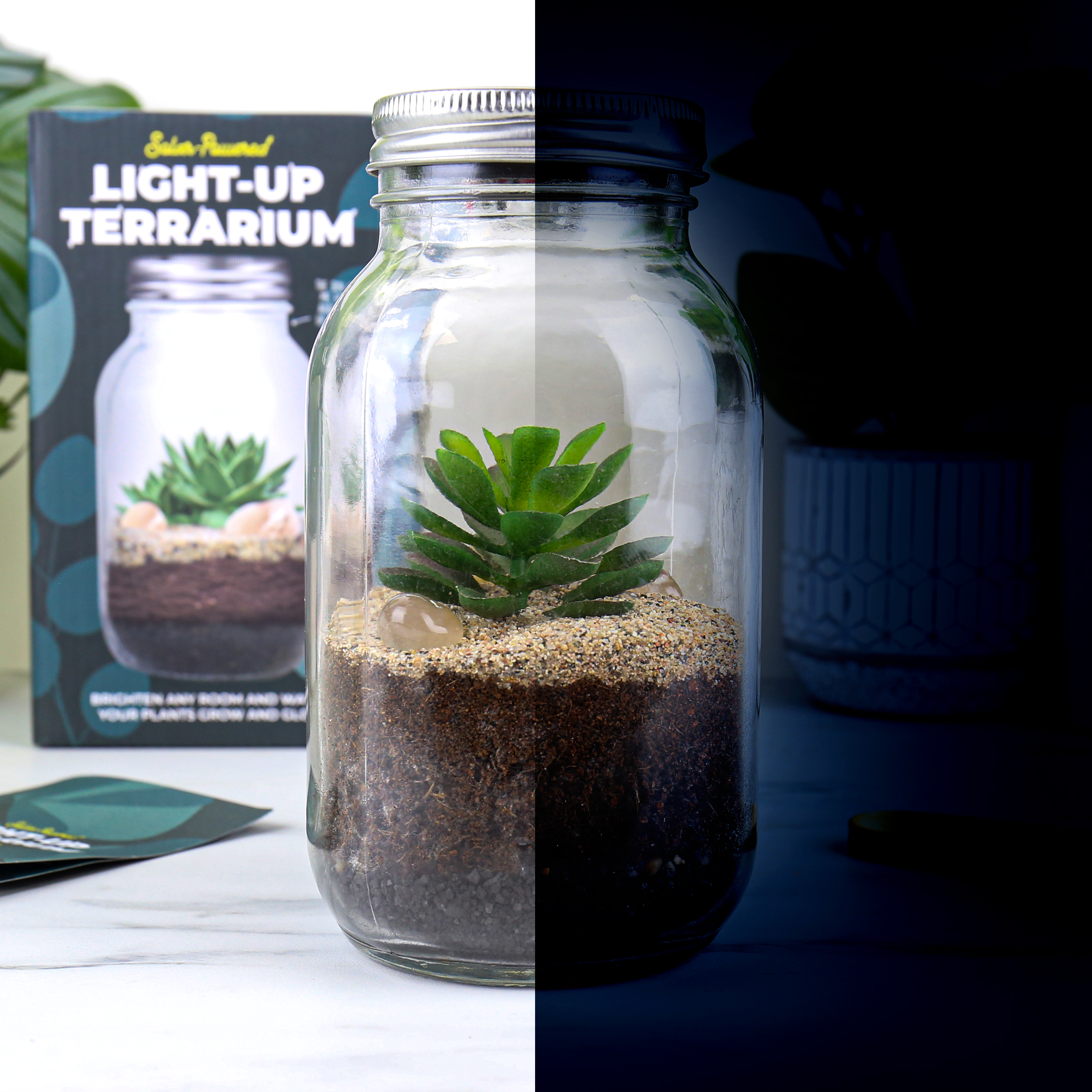 Solar Powered Light-up Terrarium