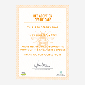 Adopt a Bee