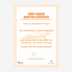 Adopt a Honey Badger