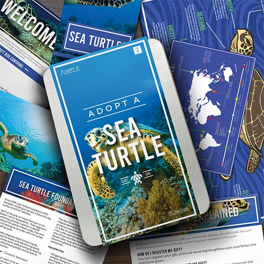 Adopt a Sea Turtle