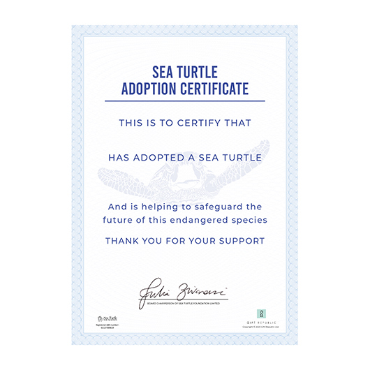 Adopt a Sea Turtle