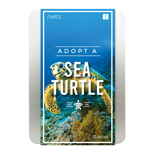 Adopt a Sea Turtle