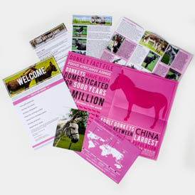 Adopt a Donkey