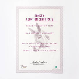 Adopt a Donkey