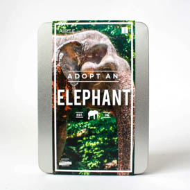 Adopt an Elephant