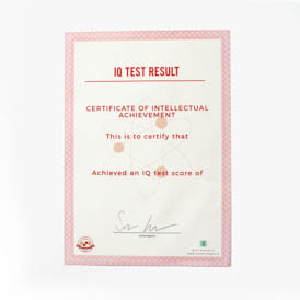 IQ Test