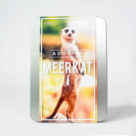 Adopt a Meerkat