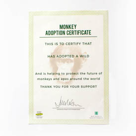 Adopt a Monkey