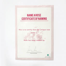 Name a Rose