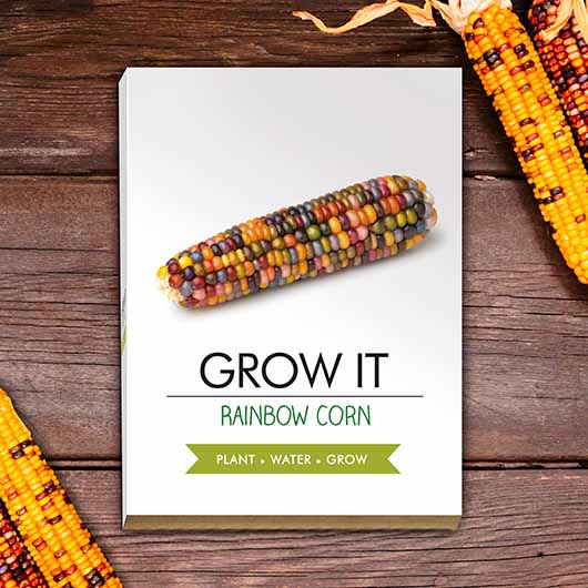 Rainbow Corn - Grow It Rollover 1
