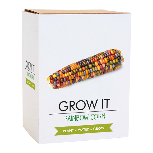 Rainbow Corn - Grow It Rollover 2