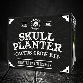 Skull Planter