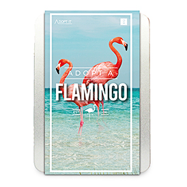 Adopt a Flamingo