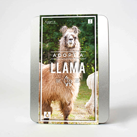 Adopt a Llama