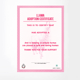 Adopt a Llama
