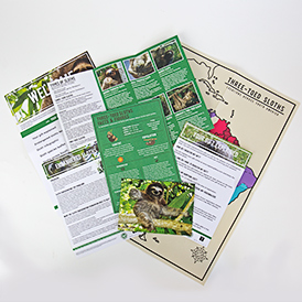 Adopt a sloth