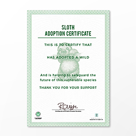Adopt a Sloth