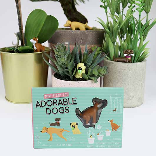Adorable Dogs Plant Markers Rollover 2