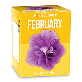 Birth Flowers - February