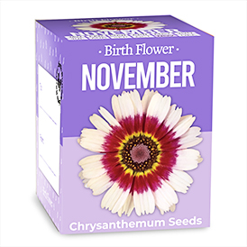 Birth Flowers - November