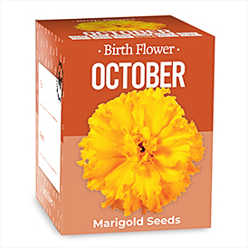 Birth Flowers - October
