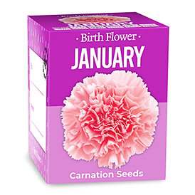 Birth Flowers - January