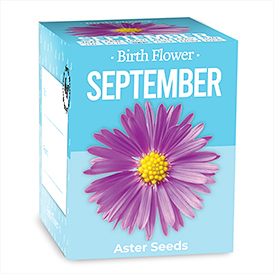 Birth Flowers - August