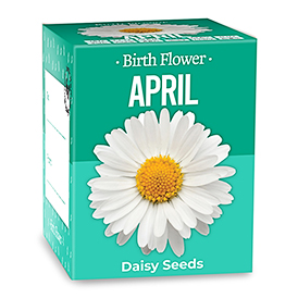 Birth Flowers - April