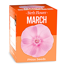 Birth Flowers - March